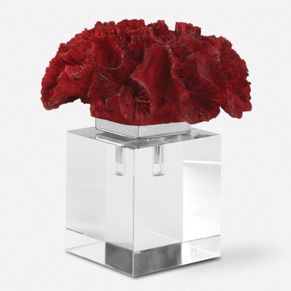 CORAL ROJO