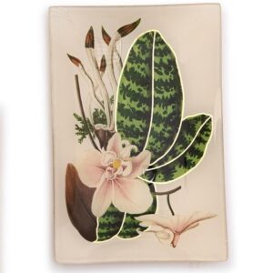 BANDEJA  BOTANICAL