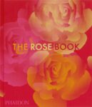 LIBRO THE ROSE