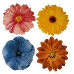 SET DE 4 INDIVIDUALES DE MESA BOUQUET FIORE