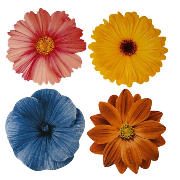 SET DE 4 INDIVIDUALES DE MESA BOUQUET FIORE