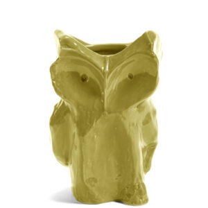 JARRON BUHO YELLOW L