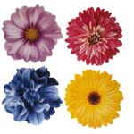 SET DE 4 INDIVIDUALES DE MESA BOUQUET FIORE