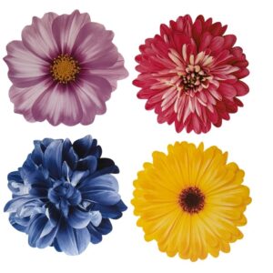 SET DE 4 INDIVIDUALES DE MESA BOUQUET FIORE