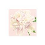 SERVILLETA DE COCKTAIL DUCHESS PEONIES