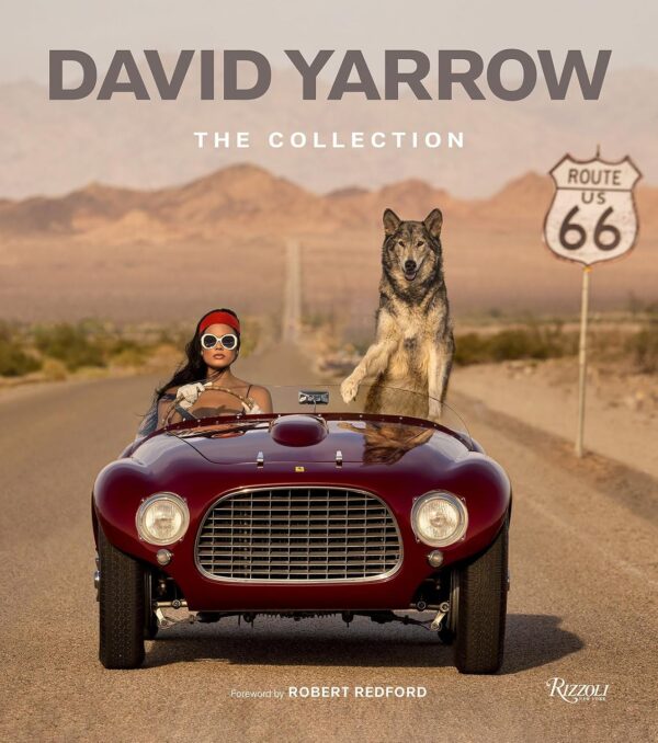 LIBRO DAVID YARROW