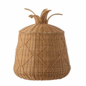 CESTA ANANN