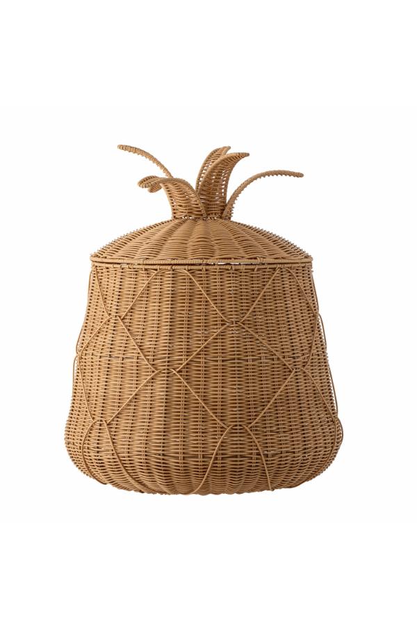 CESTA ANANN