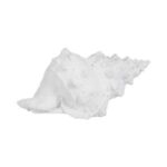 ESCULTURA CONCHA BLANCA