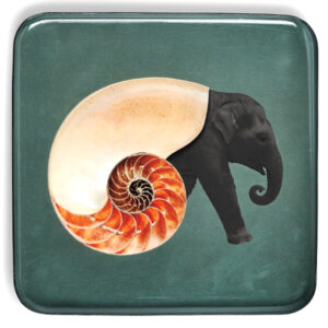 GUARDA BOLSILLOS  SHELL EPHANT