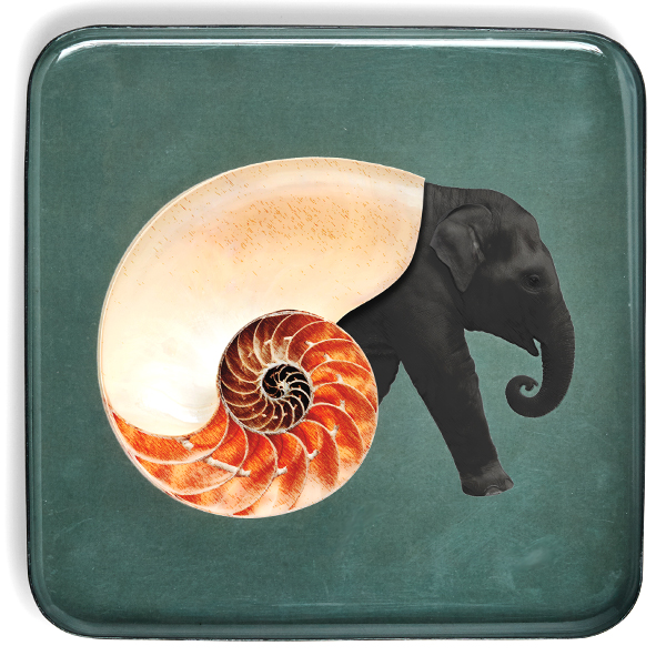 GUARDA BOLSILLOS  SHELL EPHANT